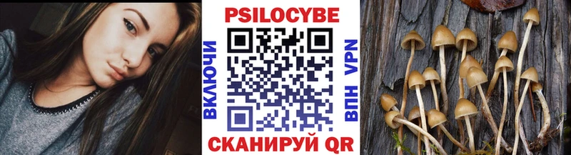 Галлюциногенные грибы Psilocybine cubensis  хочу наркоту  Облучье 